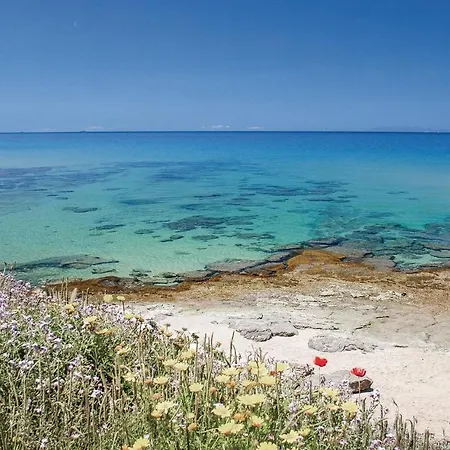 Hébergement de vacances 3 Bedroom In Costa Rei -ca- *